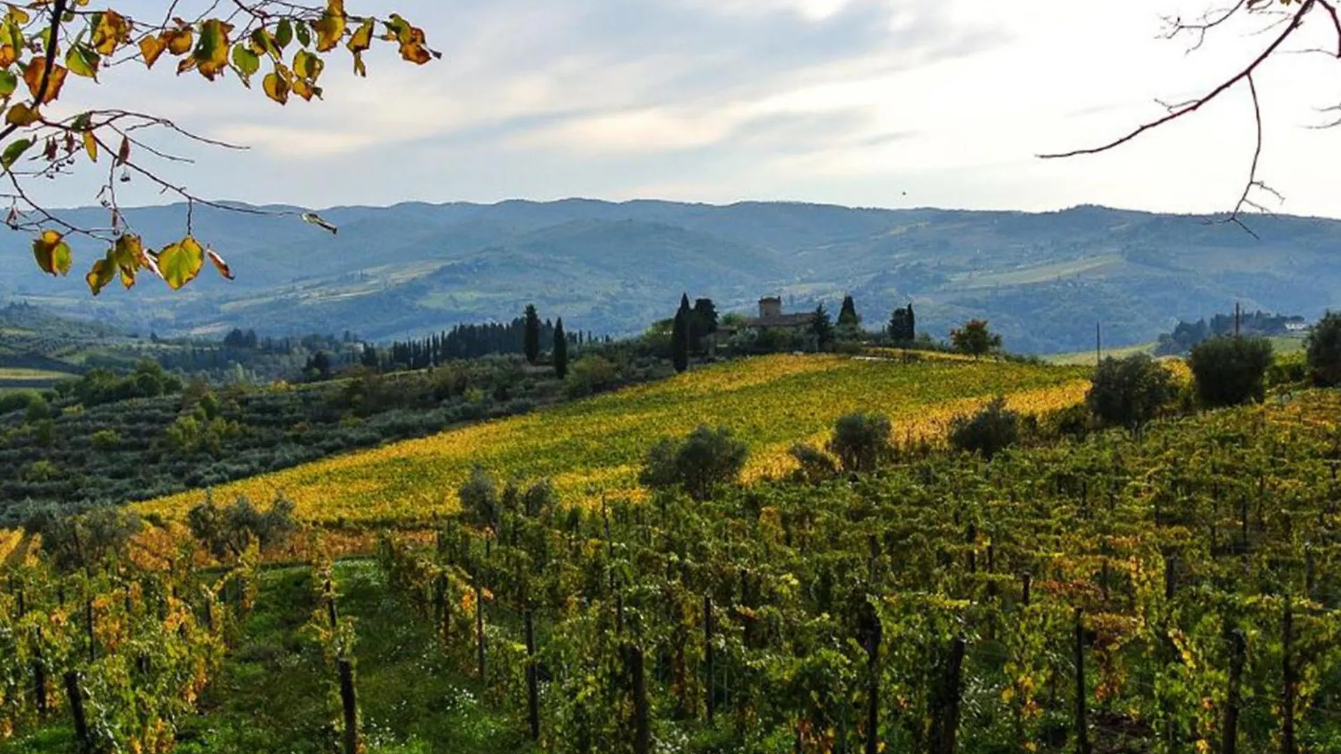 Apartment Antico Frantoio By Interhome Greve in Chianti