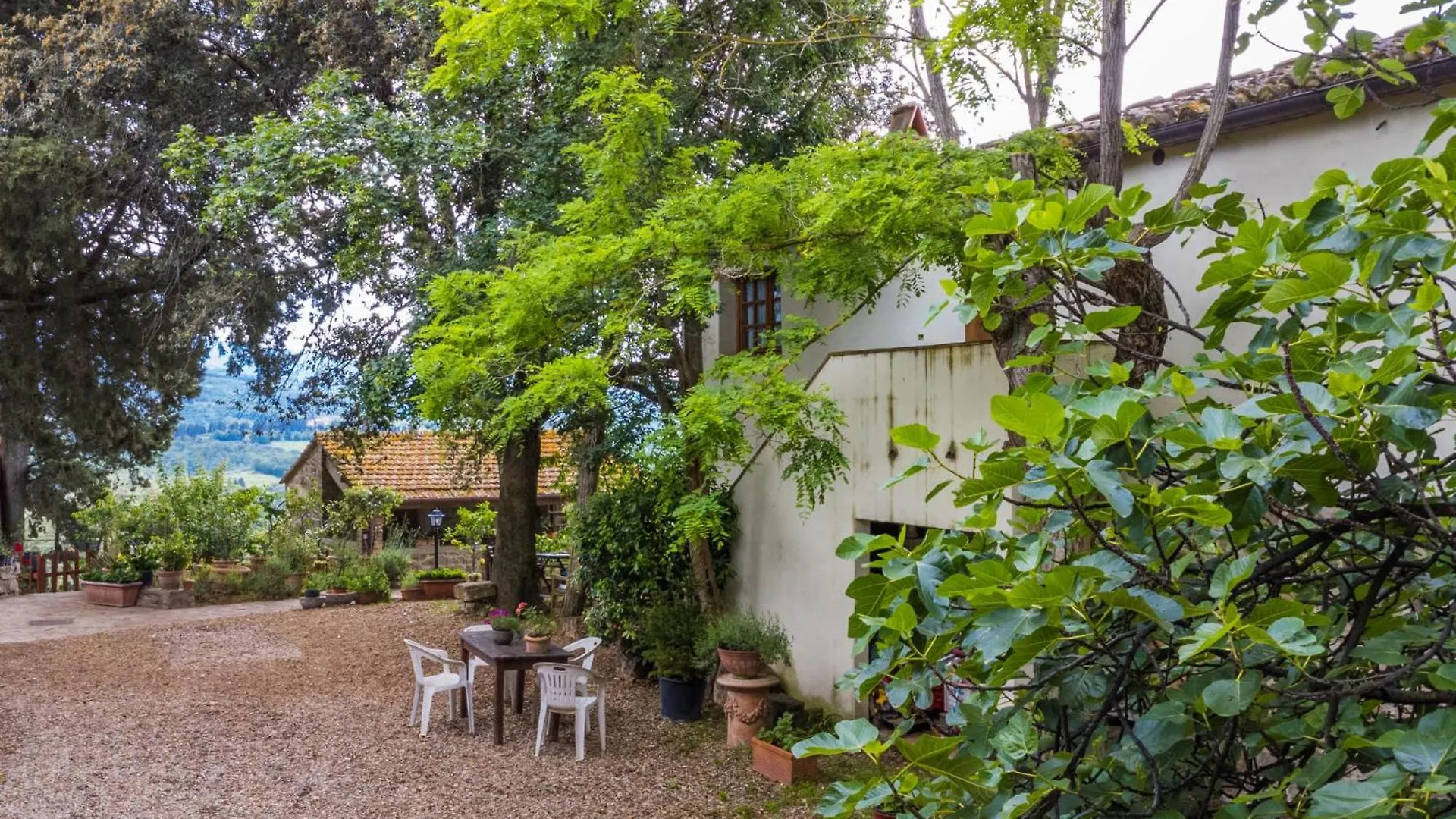 Apartment Antico Frantoio By Interhome Greve in Chianti 0*,  Italy