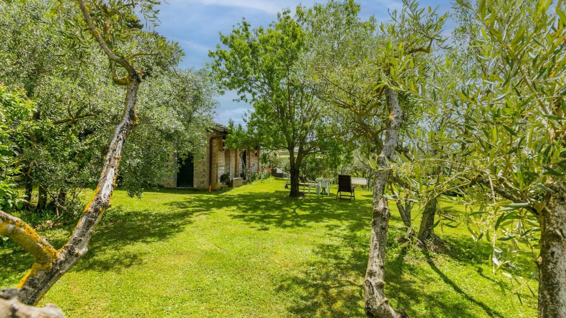 Apartment Antico Frantoio By Interhome Greve in Chianti 0*,